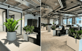 dej-mi-pokjovku_bolt