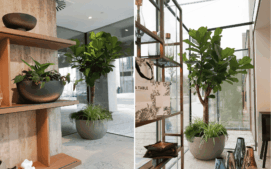 dej-mi-pokojovku_la-table