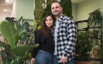 dej-mi-pokojovku_hlavni