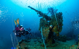 divesoft3