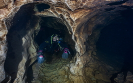 divesoft9