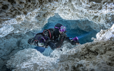 divesoft12
