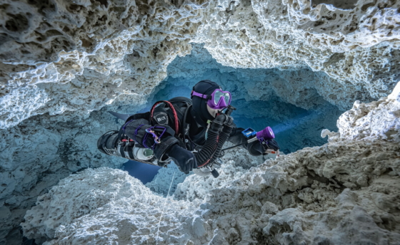 divesoft12