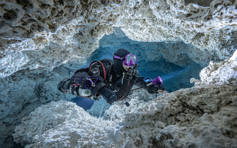 divesoft12