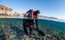 divesoft14