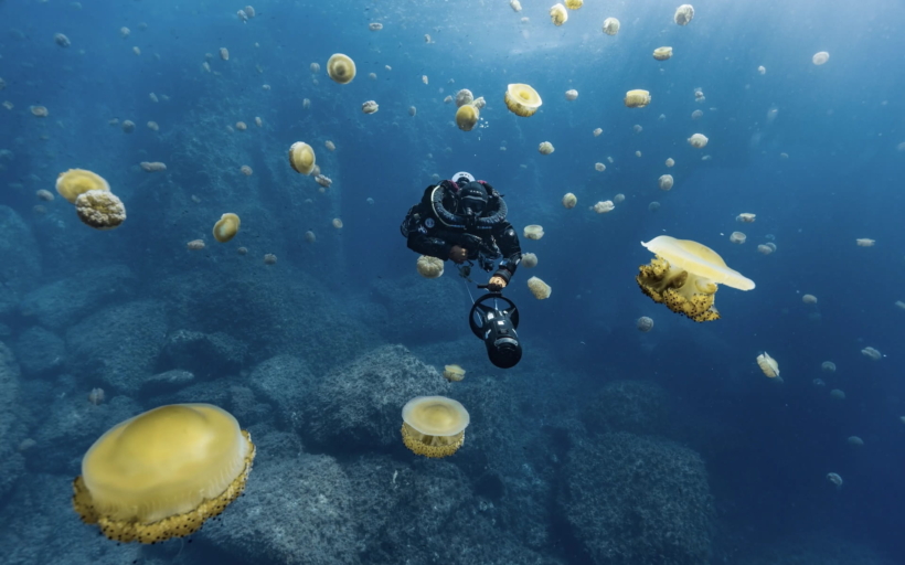 divesoft18