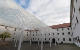 brno-5