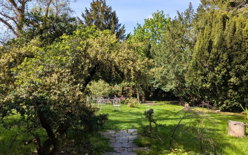 rothmayer-2