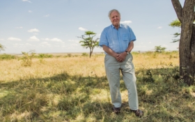 david-attenborough1