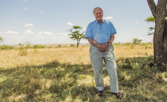 david-attenborough1