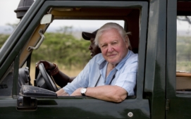 david-attenborough2