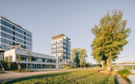 panelarna11