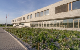 skola1