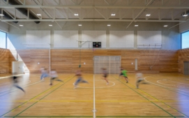 skola17