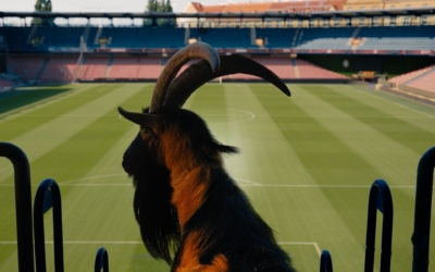 kozel