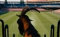 kozel