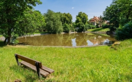 zamek29