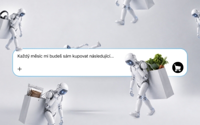 ai-agenti-na-nakupech-cc