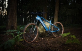 levit10
