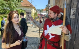 malesov-kingdom-come-fanfest
