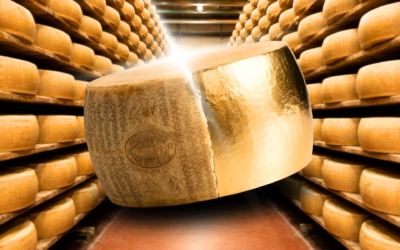 parmezan
