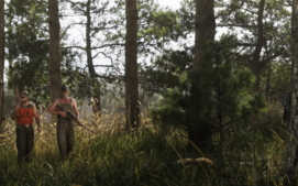 mount_kalaga_national_park_03