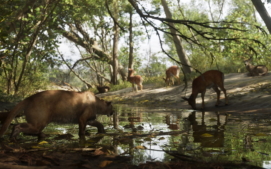mount_kalaga_national_park_05