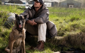 THE DOG STARS