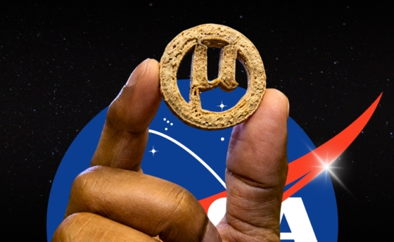 nasa-cookies