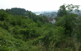 rcihter15