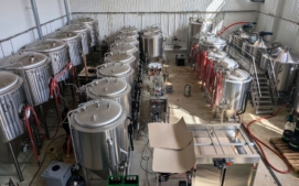 pivo2