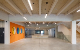 skola8