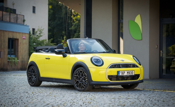 mini-1