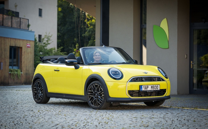 mini-1