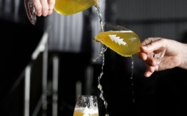 pivo4