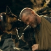 Heart of the Beast