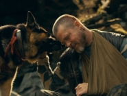 Heart of the Beast
