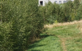 svah14