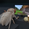 octomilka