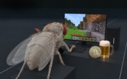 octomilka