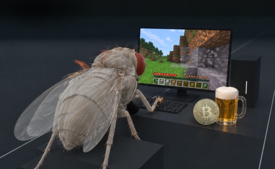 octomilka