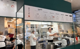 lami-3