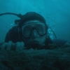 whalefall-velrybi-pad-03