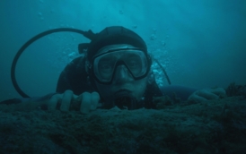 whalefall-velrybi-pad-03