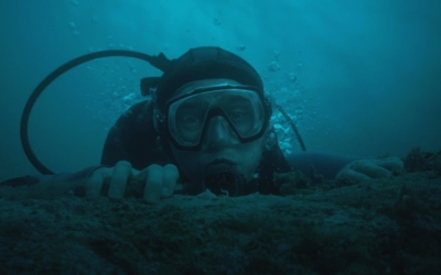 whalefall-velrybi-pad-03