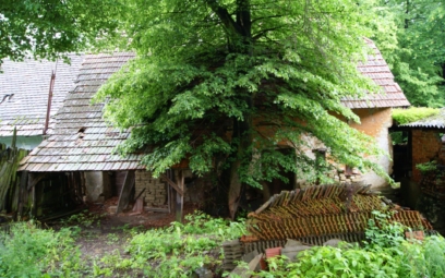 komanek_ruina