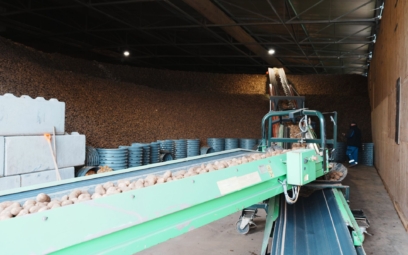 farm-frites-poland-3
