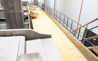 farm-frites-poland-5