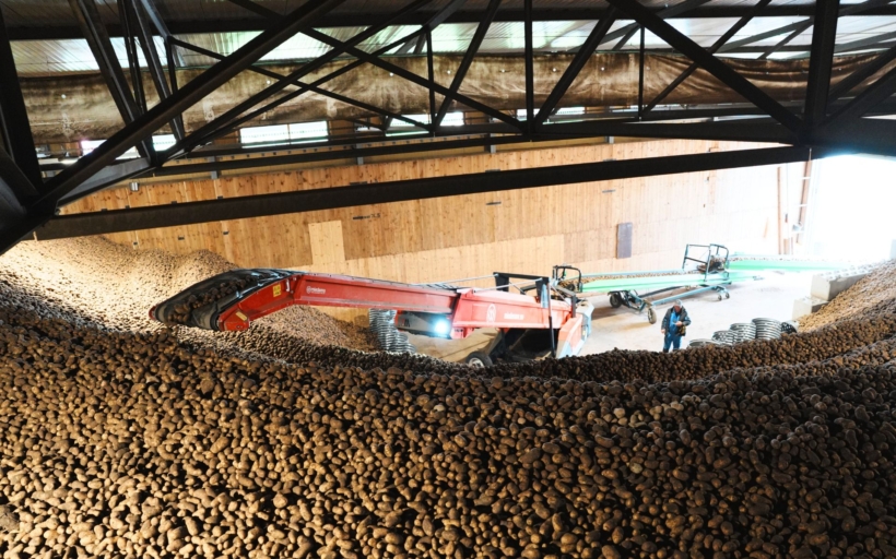 farm-frites-poland-7