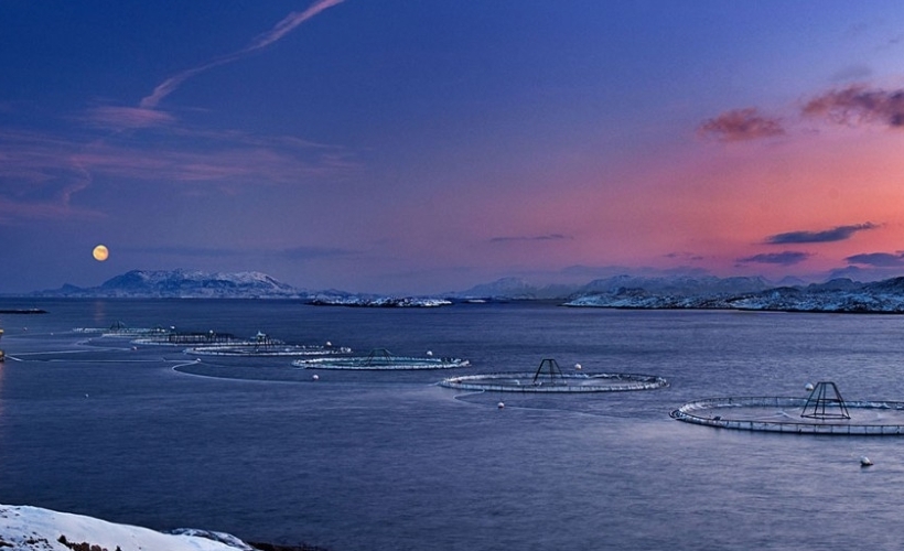 cq5dam.web.1024.1024